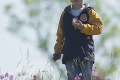 Elis i blomsterprakten vid Södra Greda löväng