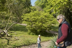 Botaniska Visby_0549