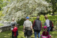 Botaniska Visby_0552