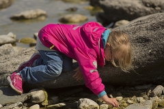 Klara letar fossil Hoburgen_9996