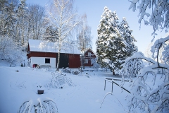 Logen-från-öster-i-snö