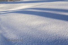 Skuggspel i snön